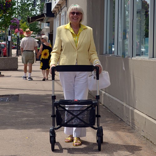 Escape anterior rollator/walker HOME HEALTH PAVILION